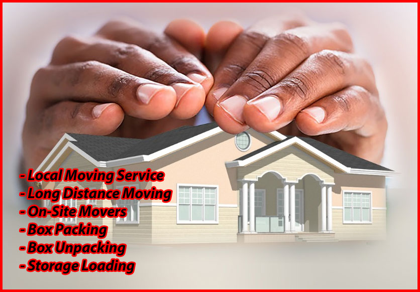 Packers And Movers Noida Sector 110